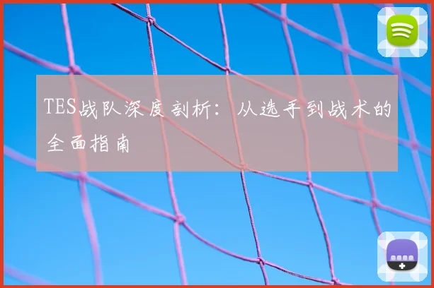 TES战队深度剖析：从选手到战术的全面指南